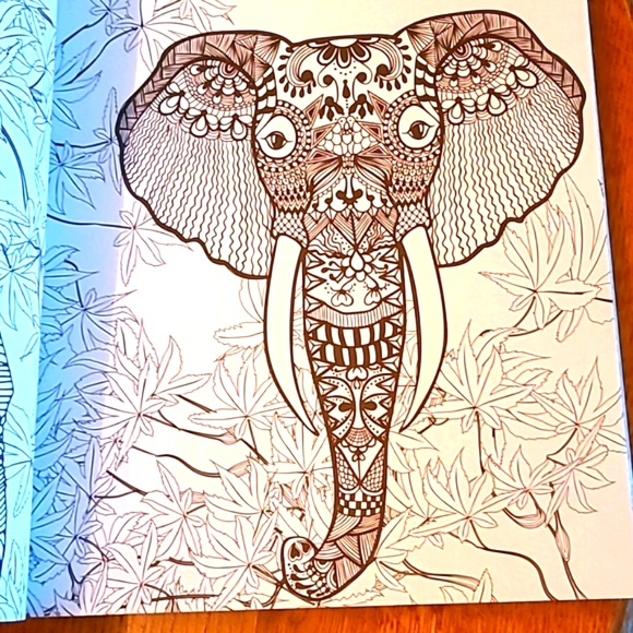 Coloring for Creativity Book - Picture 2 of 3